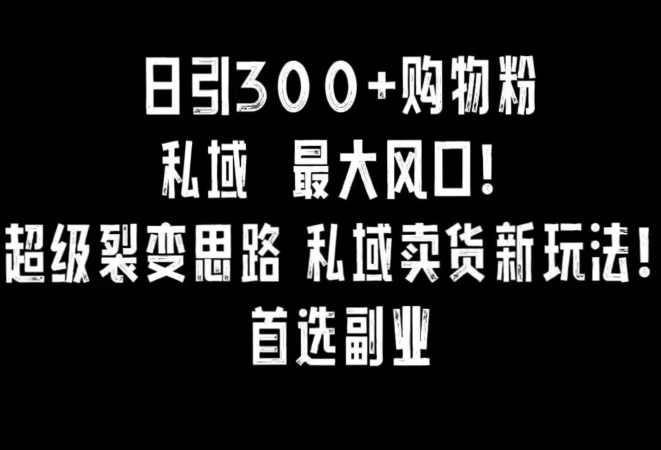 每日引300+ 购物粉，超级裂变思路，私域卖货新玩法，小红书首选副业-小刘生财