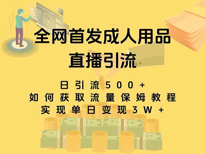 最新全网独创首发，成人用品直播引流获客暴力玩法，单日变现3w保姆级教程-小刘生财