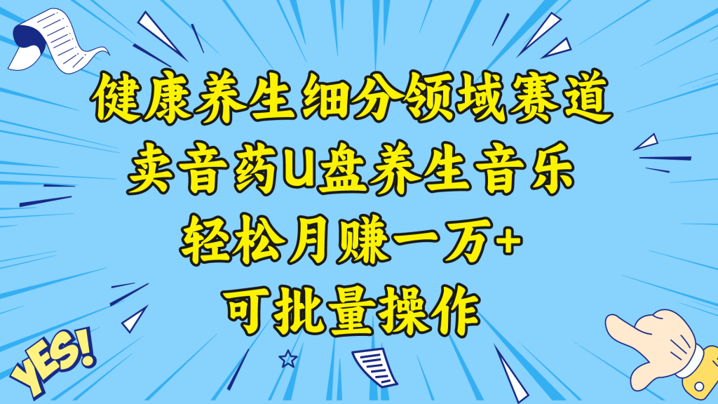 五行音乐养生：细分领域赛道卖音药U盘，打造轻松月赚一万+的健康养生项目-小刘生财