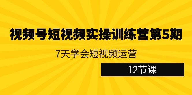 视频号短视频实操训练营：7天学会短视频运营（12节课）-小刘生财