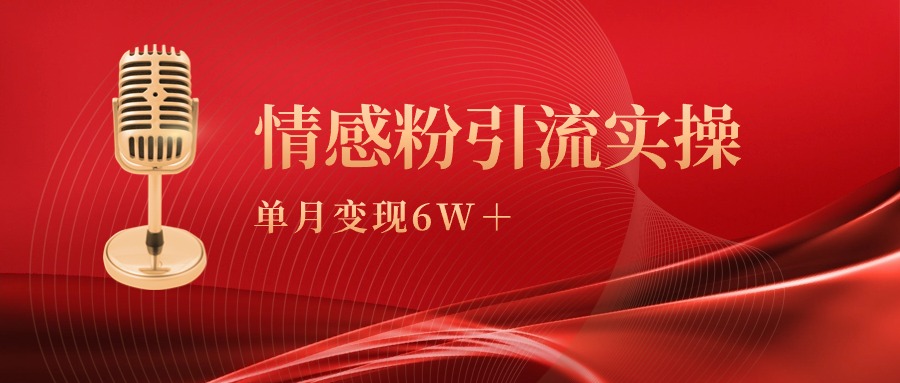 单月变现6w+，情感粉引流变现实操课-小刘生财