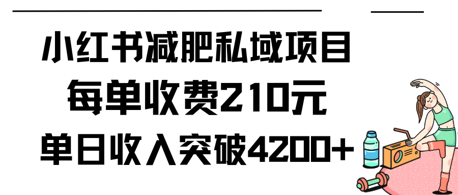 小红书减肥私域项目每单收费210元单日成交20单，最高日入4200+-小刘生财